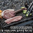 미니날개구이 | 숯불 화력조절 바베큐그릴 추천, 밥캠핑 엑스그릴 높이조절 화로대 후기