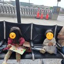 파리바게뜨광아이디씨점 | 5살 & 22개월아기와 워싱턴DC➡️인천 장거리비행 [에어프레미아 IAD-ICN] 신규노선 첫 취항일 후기