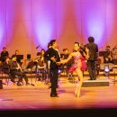 한여름밤의 야외음악회 이미지