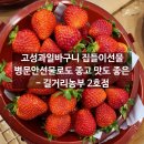 길거리농부 이미지