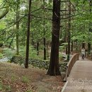 대신공원 이미지