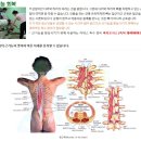 서울개일초등학교 이미지