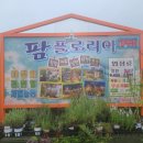 팜플로리아