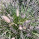 팔만식당 이미지