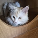 작은동물원 | 도심 속 작은 동물원, Habitat Park 솔직 후기