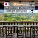 숲마을농원 | 일본 오키나와 가정식 테이쇼쿠 맛집 농원찻집 시키노아야