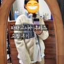 파타고니아 후리스 50% 할인 구매 후기(의왕 롯데타임빌라스)