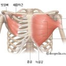 오른쪽 왼쪽 쇄골 통증 원인은 이미지