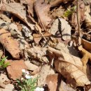 (주)창진산장휴게소 이미지