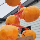 학동마을회관 이미지