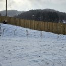 빵순돌이네 하우스 이미지