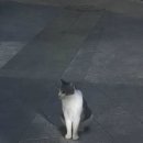 지에스(GS)25 월배포스코점 이미지