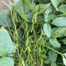 청자농장 이미지