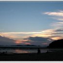 대호낚시 - 평택시 송월로26번길 5 | 대호낚시