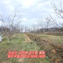 양지-3120 이미지