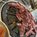 불타는돈갈매기 이미지