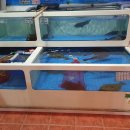 선사유적지공용주차장 이미지