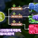 영원화학 이미지