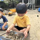 🩷9월 4주, 10월 1주 꽃잎둥이들의 이야기🩷 이미지