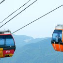 발왕산 관광케이블카 코스 이미지