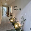 나의한의원 | [내돈내산]사월의봄 한의원/여드름 흉터 치료/ 새살침 상담&체험 리얼후기