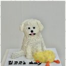 정성스럽개 이미지
