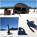 야니랜드 이미지