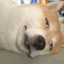 수당농장 이미지