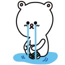 곰체육관 이미지