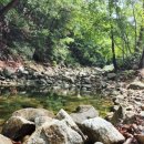 용화산염소농장 | 🌲 춘천 용화산테마파크 캠핑장 후기｜아이들과 함께 즐기기 좋은 가족 캠핑 명소