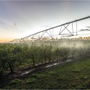 공헌농장 이미지