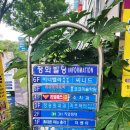 세븐일레븐금호점 이미지