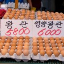 구월4동-28 네이버블로그