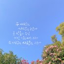 (주)사랑으로 이미지