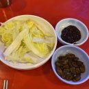 은행나무 포장마차 이미지