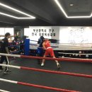 오비복싱 이미지