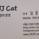 제이제이캣 이미지