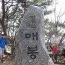 분당 산악회 4월15일(일) 청계산 느림보 산행 중 사진 이미지