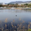 주식회사제이엠산업