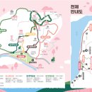 2024 신춘음악회 찔레꽃 | 광양 매화축제 가수 주차장 입장료 맛집 개화시기