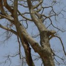 수지면 양촌마을 이미지