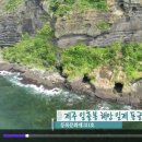 제주 서우봉 일제동굴진지 이미지