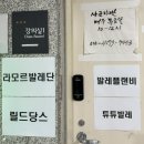 제3회 설레발레페스티벌 주최 후기 이번에도 열심히 정신없이 뛰고 달렸어요.