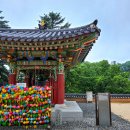 UR(파주시)-[운정역길]-상-8 | 파주여행택시 동남코스 삼릉, 보광사, 마장호수 출렁다리 관광