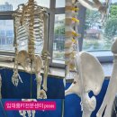 임채홍PT전문센터 이미지