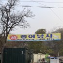 송어낚시 첫 시도 시흥 뒷방울 낚시터 방문기