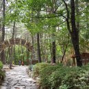 수리산 산림욕장 이미지