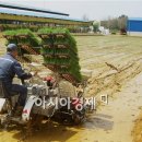 죽암농장 이미지