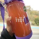 행복한 냥이네 | 강원도 정선 하이원 리조트 마운틴콘도