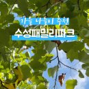 론볼장 화장실 이미지